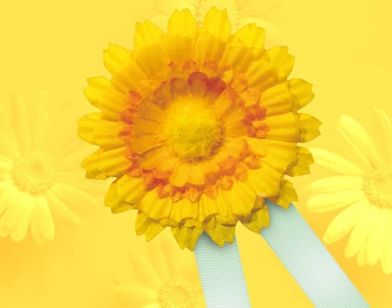 Český den proti rakovině